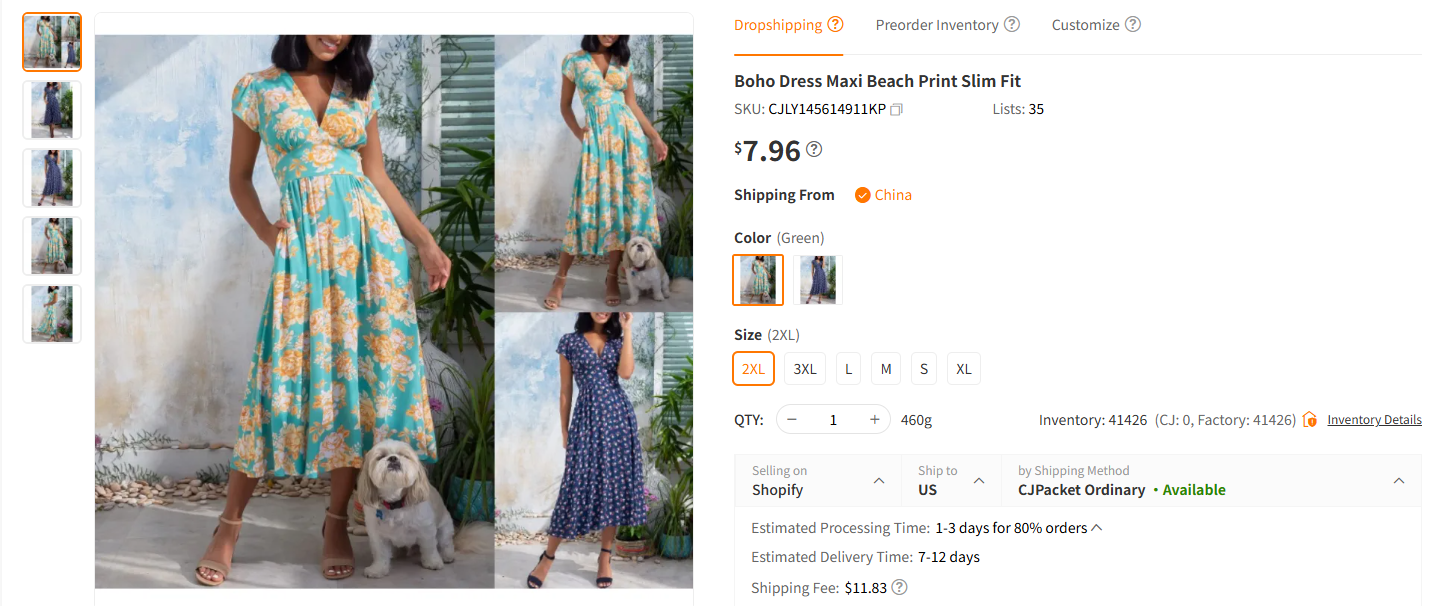 Boho Print Maxi Dress